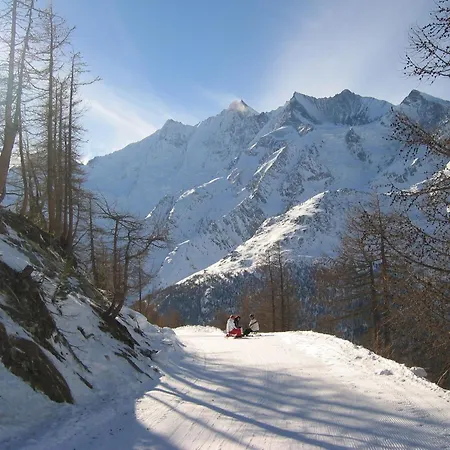 Stadel Alpine Comfort