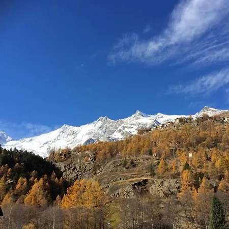 Stadel Alpine Comfort 사스그룬트