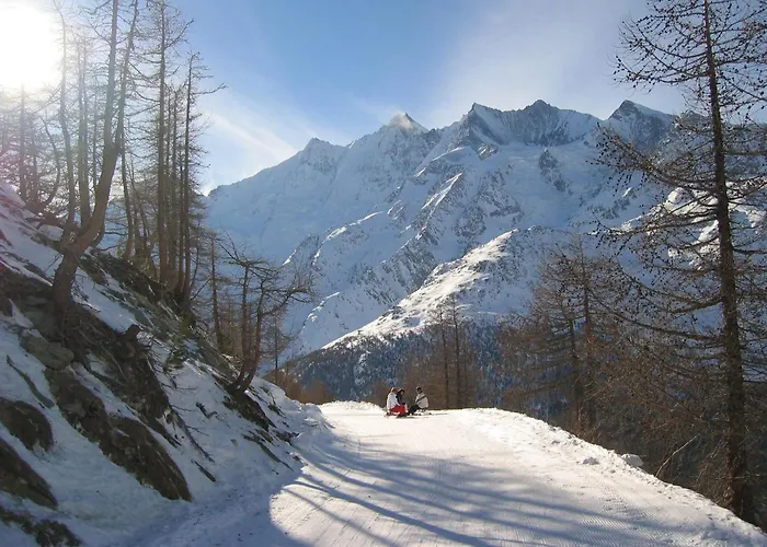 Stadel Alpine Comfort